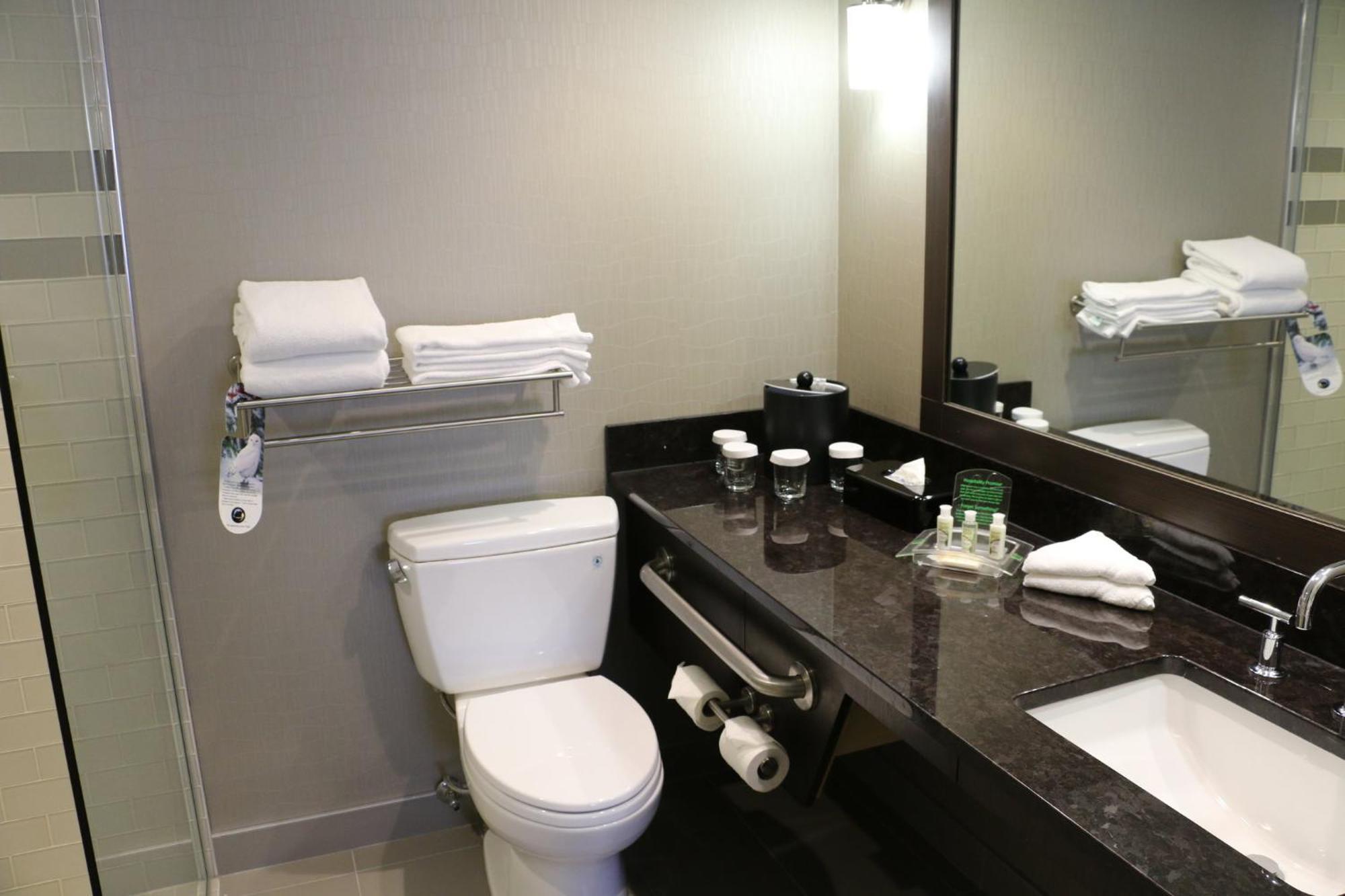 Holiday Inn Calgary Airport By Ihg Exterior photo